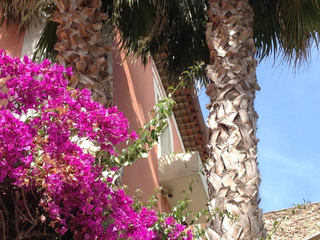 L'arena Hotel Fréjus